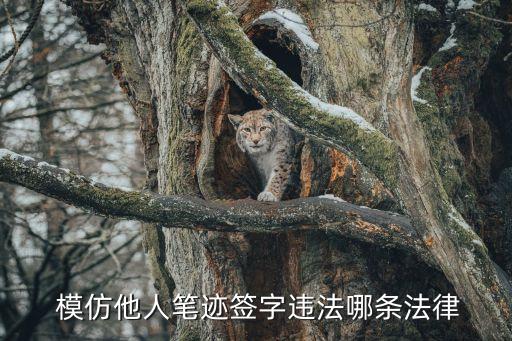 模仿簽名,怎么防止別人模仿簽名