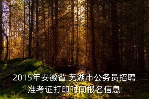 2015年安徽省 蕪湖市公務員招聘準考證打印時間報名信息