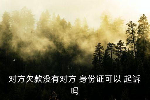 對(duì)方欠款沒有對(duì)方 身份證可以 起訴嗎