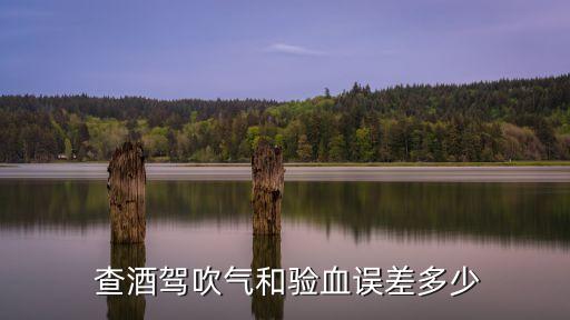  查酒駕吹氣和驗(yàn)血誤差多少
