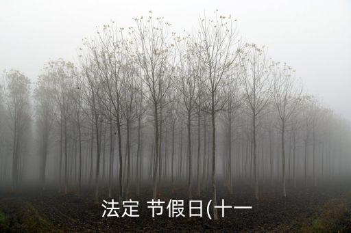 法定節(jié)假日加班