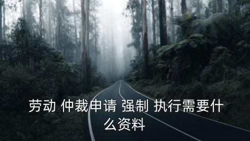  勞動 仲裁申請 強制 執(zhí)行需要什么資料