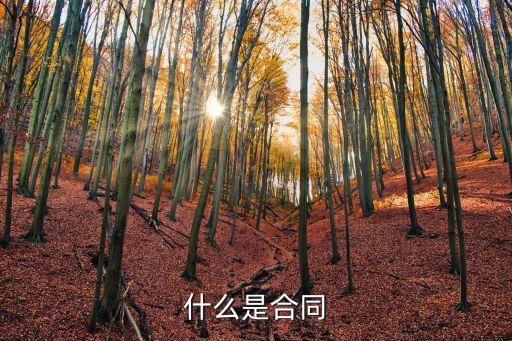 什么是合同