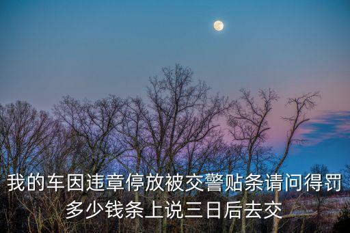 貼條罰款多少，汽車違章貼車貼條罰多少錢呢