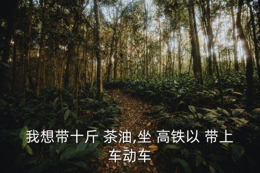 我想帶十斤 茶油,坐 高鐵以 帶上車動車