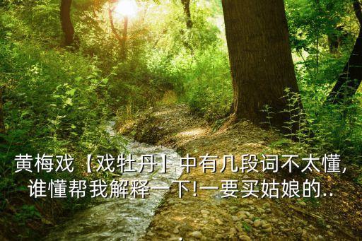 黃梅戲【戲牡丹】中有幾段詞不太懂,誰懂幫我解釋一下!一要買姑娘的...