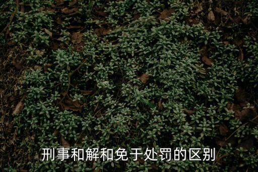 刑事和解，刑事和解和免于處罰的區(qū)別