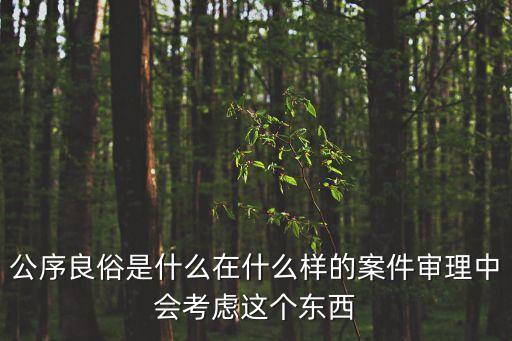 公序良俗，公序良俗是什么在什么樣的案件審理中會(huì)考慮這個(gè)東西