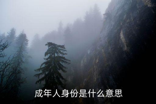 成年人的身份證號,免費游戲不用實名認(rèn)證