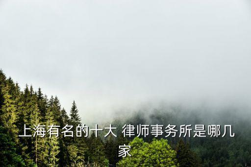 上海口碑最好的律師,上海律師事務(wù)所咨詢免費(fèi)