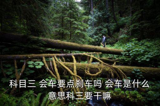 科目三 會(huì)車要點(diǎn)剎車嗎 會(huì)車是什么意思科三要干嘛