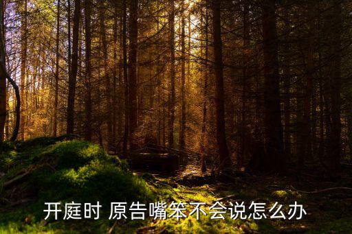 原告在法庭上說話技巧,開庭時原告嘴笨不會說怎么辦
