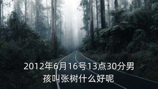 張樹東，韓國字名字張樹東