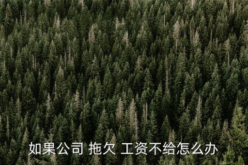 如果公司 拖欠 工資不給怎么辦