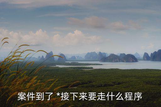 案件到了 *接下來(lái)要走什么程序
