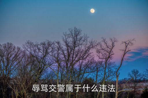 罵警察犯法嗎,打110罵警察犯法嗎