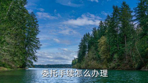 委托律師的流程,律師先收費還是先辦事