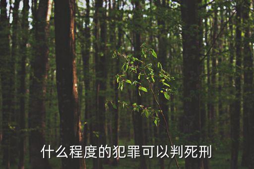什么程度的犯罪可以判死刑