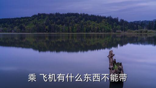 不能帶上飛機(jī)的物品清單,乘坐飛機(jī)注意事項(xiàng)及攜帶物品