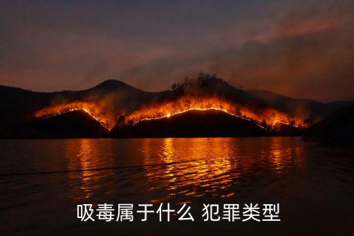  吸毒屬于什么 犯罪類型