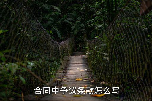  合同中爭議條款怎么寫