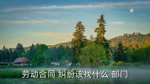 個(gè)人勞務(wù)糾紛找哪個(gè)部門解決,勞動(dòng)監(jiān)察大隊(duì)12345在線咨詢