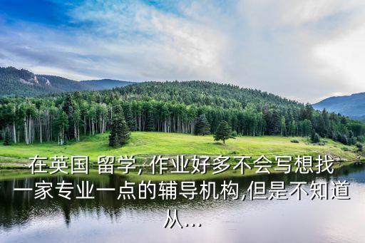 留學(xué)作業(yè)代寫(xiě),留學(xué)代寫(xiě)收費(fèi)標(biāo)準(zhǔn)