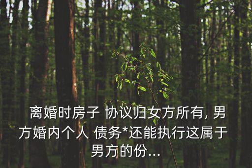 離婚協(xié)議男方承擔(dān)所有債務(wù)有效嗎,丈夫欠債妻子如何自保