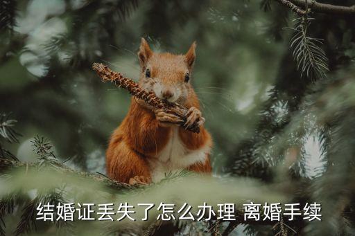結婚證丟了怎么離婚,離婚律師咨詢免費24小時在線附近