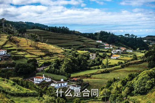 什么是合同，什么是合同