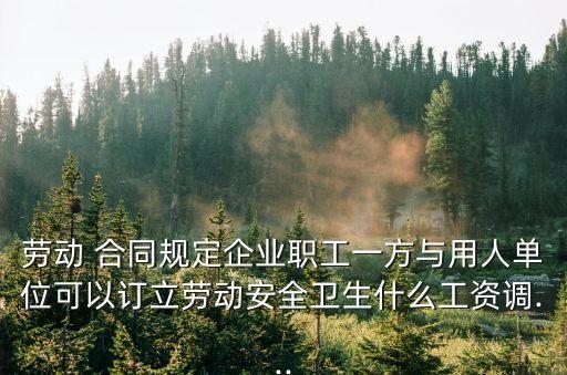 勞動 合同規(guī)定企業(yè)職工一方與用人單位可以訂立勞動安全衛(wèi)生什么工資調(diào)...