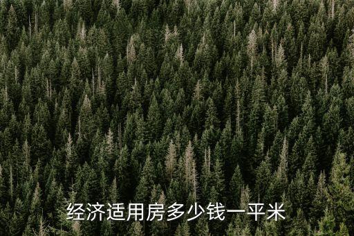 經(jīng)濟(jì)適用房多少錢一平米