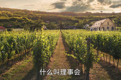 理事會，什么叫理事會