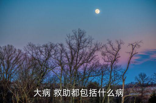  大病 救助都包括什么病