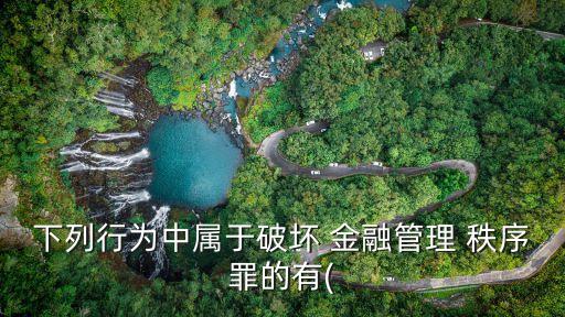 擾亂金融秩序罪