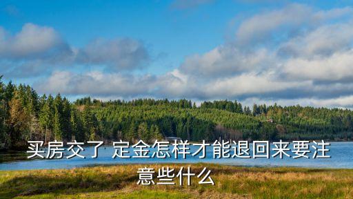 買房定金如何退,買房交了定金不想要了能退嗎