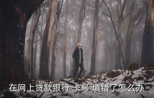 招商e貸卡號(hào)填錯(cuò)