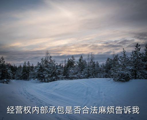 經(jīng)營(yíng)權(quán)內(nèi)部承包是否合法麻煩告訴我