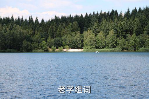養(yǎng)老女