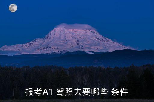 報(bào)考A1 駕照去要哪些 條件