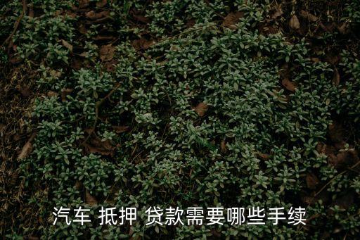 車輛抵押貸款需要什么,汽車抵押貸款不看征信不押車
