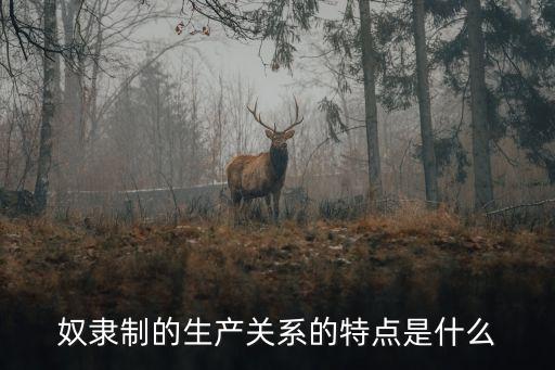 奴隸制的生產(chǎn)關(guān)系的特點(diǎn)是什么
