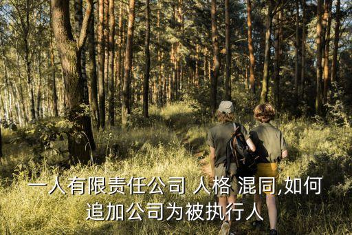 一人有限責(zé)任公司 人格 混同,如何追加公司為被執(zhí)行人