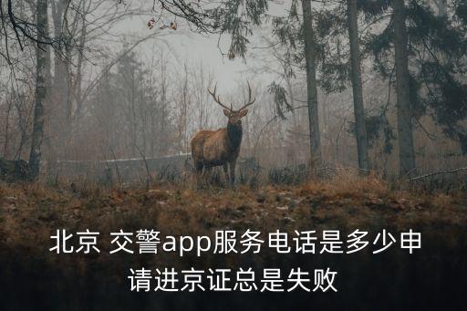 北京交警