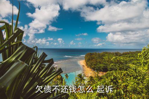 欠錢不還起訴流程,微信好友欠錢不還起訴流程