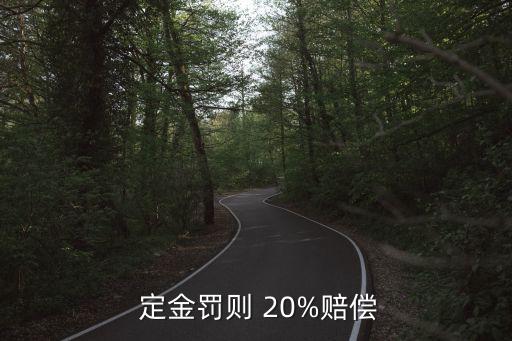定金不超過20%是哪條法律規(guī)定