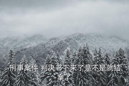 刑事判決