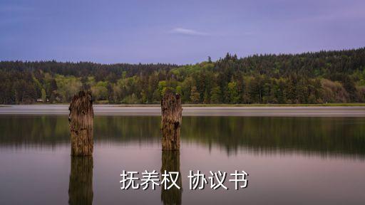 非婚生子女撫養(yǎng)協(xié)議書怎么寫有效,找律師寫個(gè)協(xié)議多少錢