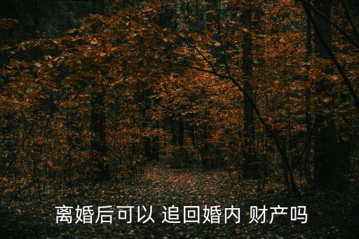  離婚后可以 追回婚內(nèi) 財(cái)產(chǎn)嗎