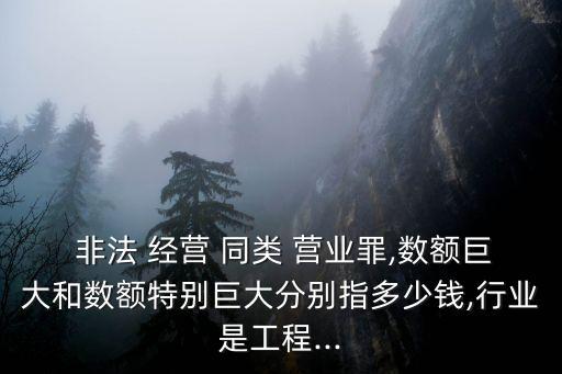 非法經營同類營業(yè)罪